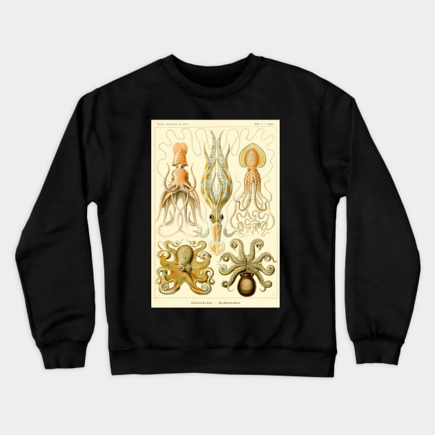 Squid and Octopus Gamochonia by Ernst Haeckel Crewneck Sweatshirt by MasterpieceCafe